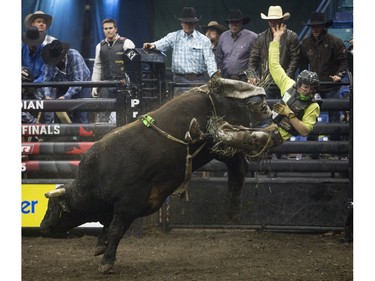 Dakota Buttar is bucked off by the bull Bucking Ton during the Professional Bull Riding PBR Canadian finals at SaskTel Centre in Saskatoon, November 21, 2015.