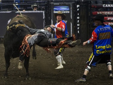 Jordan Lloyd is bucked off by the bull Liking U during the Professional Bull Riding PBR Canadian finals at SaskTel Centre in Saskatoon, November 21, 2015.