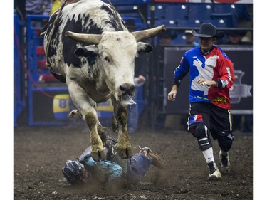 Shay Marks is bucked off by the bull Freakaziod during the Professional Bull Riding PBR Canadian finals at SaskTel Centre in Saskatoon, November 21, 2015.