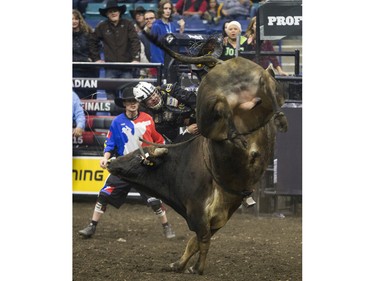 Stetson Lawrence is bucked off the bull Clouds In My Coffee during the Professional Bull Riding PBR Canadian finals at SaskTel Centre in Saskatoon, November 21, 2015.