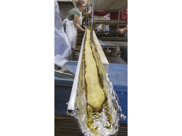 Carmen Dyck continually poured hot cooking oil over the dough to cook the 19-foot long john in an eavestrough at Nestor's Bakery where students of the Community Learner's High School are attempting to make the world's longest long john donut, November 24, 2015. It measured in at just over 19' 1 1/2" long.