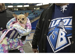 SASKATOON,SK--FEBRUARY 28/2014--  There were all kinds of  four-legged pets on hand as the Blades hosted first ever Critters Pucks 'N Paws Night and played host to the visiting Kootenay Ice. Fans were encouraged to bring their dogs and cats to the Credit Union Centre, Friday, February 28, 2014. A pig named Eunice, and a pair of Saskatoon Police Service K-9's were on hand for the official puck drop. (GREG PENDER/STAR PHOENIX)