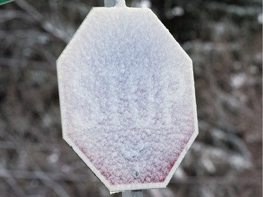 Saskatoon was coated in its first snowfall of the year following an overnight rain which made roads slippery for motorists and pedestrians, November 18, 2015. A stop sign is covered in snow on Taylor Street East.