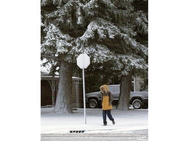 Saskatoon was coated in its first snowfall of the year following an overnight rain which made roads slippery for motorists and pedestrians, November 18, 2015. Snowy trees on Taylor Street East.