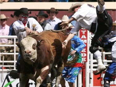 A Bullfighter is thrown in the air by Red Hot Magic after he helped bull rider Beau Hill get away from the bull during the Calgary Stampede Bull Riding Championship in 2008.