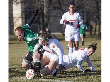 University of Saskatchewan Huskies striker Jenelle Zapski battles for the ball with University of Calgary Dinos forward Amy Hockings during the second half of CIS women's soccer playoff action, November 8, 2015.