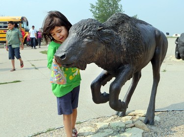 Fire evacuees from northern communities spent some time at Wanuskewin Heritage Park on July 7, 2015 in Saskatoon. Nadia Halkett greets a buffalo statue upon her arrival.