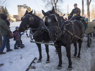 A horse and carriage are at Winterlude behind Victoria School, December 5, 2015.