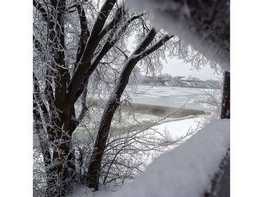Every week we will be featuring our #yxefriday challenge where we ask our Instagram followers to share their view of Saskatoon with us. This week's theme was "Winter is Here." Check out Instagram.com/thestarphoenix for our next challenge.