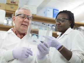 University of Saskatchewan student Teresia Maina (right) and supervisor Jose Perez-Casal (left) are part of the VIDO-InterVac cattle vaccine team. (David Stobbe/University of Saskatchewan) ORG XMIT: SK