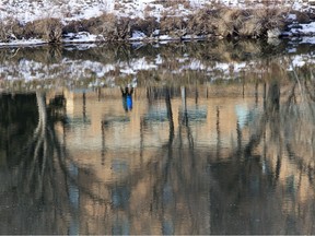 Walkers are reflected in the practically devoid of ice South Saskatchewan River near the Bessborough Hotel on Dec. 7, 2015 in Saskatoon.