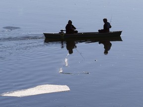 Two avid outdoor enthusiasts engage in some fly fishing.