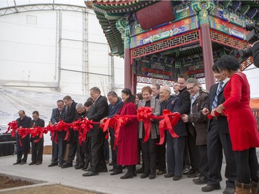Dignitaries cut a ceremonial ribbon during the unveiling of the new Chinese Ting artwork event in Victoria Park, December 12, 2015.