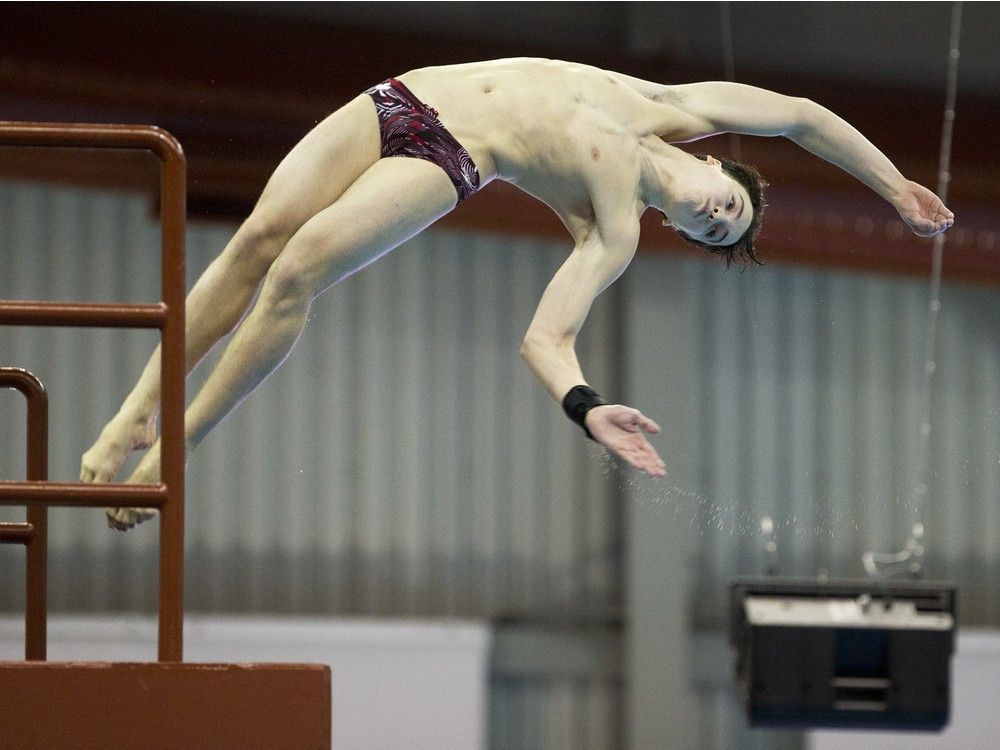 Gallery Men's diving championship The Star Phoenix