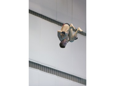 Vincent Chartier competes during the Men's 10-metre final at the Canadian senior diving championship, December 20, 2015.