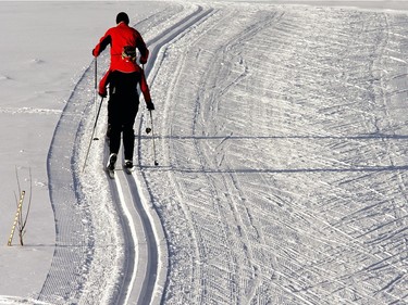 SASKATOON, SASK.; JANUARY 21, 2015 - Fantastic conditions for cross country skiing at thew well groomed trails at Wildwood Golf Club, January 21, 2015.  (Gord Waldner/The StarPhoenix) ORG XMIT: POS1501211538000381