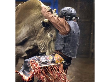 Jordan Lloyd Carlier was bucked off and then pushed around by Jaw Breaker the bull on a rather short ride at the PBR Canadian Finals Bull Riding at SaskTel Centre in Saskatoon, November 20, 2015.