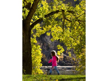 A bright fall holiday Monday had many families using the Meewasin Trail downtown, October 12, 2015.