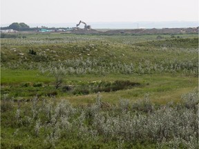 The Northeast Swale is an invaluable natural area.