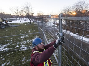 Anthony Ingratta of Graham Construction puts up temporary fencing near the Victoria Bridge, Friday, December 04, 2015, for story on pedestrian closures in the area as construction begins.