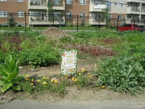 The help yourself section of the Pleasant Hill Community Garden during planting season. 
