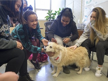 Palabrita, a therepy dog from St. Johns Ambulance, enjoys some attention from Aden Bowman Collegiate students L-R: Kiara Arcand, Savhanna Burgess, Monique Stephens and Alix Lynam as part of an event hosted by the Aden Bowman Student Representative Council at the school on January 21, 2016.