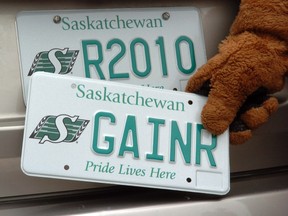 A Saskatoon received a ticket at one of the city's downtown parking stations after she entered the S from the Saskatchewan Roughriders logo as part of her licence number.