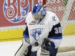 The Blades lost to the Red Deer Rebels 5-0 Wednesday Jan. 6, 2016. The Rebels are first overall in the Eastern Conference.