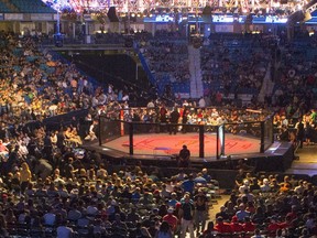 Ultimate Fighting Championship's famed Octagon