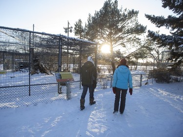 People look at enclosures at the Saskatoon Forestry farm on Saturday, January 9th, 2016.