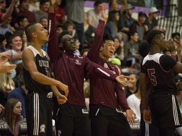 The Archbishop O'Leary Spartans bench celebrates a basket against the Garden City Collegiate Fighting Gophers at the annual BRIT basketball classic, January 9, 2016.