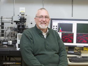 Darrell Mousseau, the Saskatchewan Research Chair in Alzheimer's Disease and Related Dementia and researcher at the University of Saskatchewan, in his lab at the U of S campus on Jan. 15, 2016.