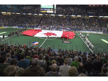 The crowd at SaskTel Centre was into the Saskatchewan Rush Lacrosse team's first home game seeing action, fights, big hits and goals, January 15, 2016.