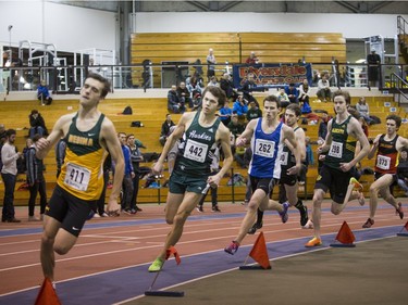 Runners during the Sled Dog Open at the Saskatoon Field House, January 16, 2016.