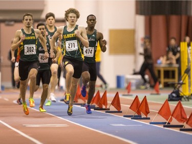 Runners during the Sled Dog Open at the Saskatoon Field House, January 16, 2016.