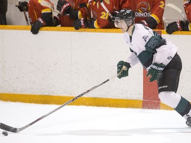 University of Saskatchewan defence  Tyler Borstmayer moves the puck against the University of Calgary Dinos in CIS men's hockey action, January 16, 2016.