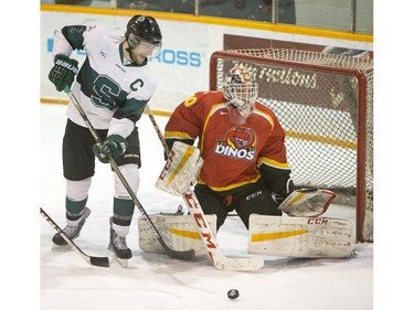 University of Saskatchewan defence Kendall McFaull attempts to grab a rebound from University of Calgary Dinos goalie Steven Stanford in CIS men's hockey action, January 16, 2016.