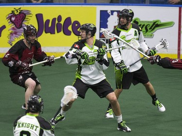 Saskatchewan Rush take on Colorado Mammoth at SaskTel Centre, January 29, 2016.