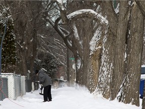 Saskatoon residents may wake up to fresh snow to shovel on Saturday morning.
