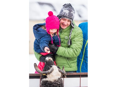 Ayres and Diego Escudero visit the petting zoo at the PotashCorp Wintershines Festival in Saskatoon, January 23, 2016.