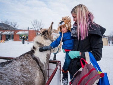 Kayla Madder and Amari Omene visit the petting zoo at the PotashCorp Wintershines Festival in Saskatoon, , January 23, 2016.