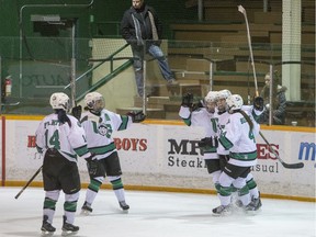 The University of Saskatchewan Huskies celebrate a goal against the University of Lethbridge Pronghorns in CIS women's hockey action at Rutherford Rink, Jan. 9, 2016.