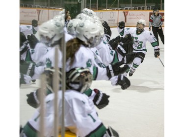 The University of Saskatchewan Huskies celebrate a goal against the University of Lethbridge Pronghorns in CIS women's hockey action at Rutherford Rink, January 9, 2016.