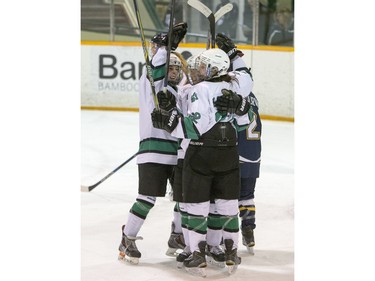 The University of Saskatchewan Huskies celebrate a goal against the University of Lethbridge Pronghorns in CIS women's hockey action at Rutherford Rink, January 9, 2016.