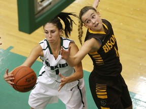 University of Saskatchewan Huskies Desarae Hogberg, left, and Manitoba Bisons Nicole Konieczny in game action on November 6, 2015 in Saskatoon. The Huskies have not lost a game since Feb. 16, 2013.