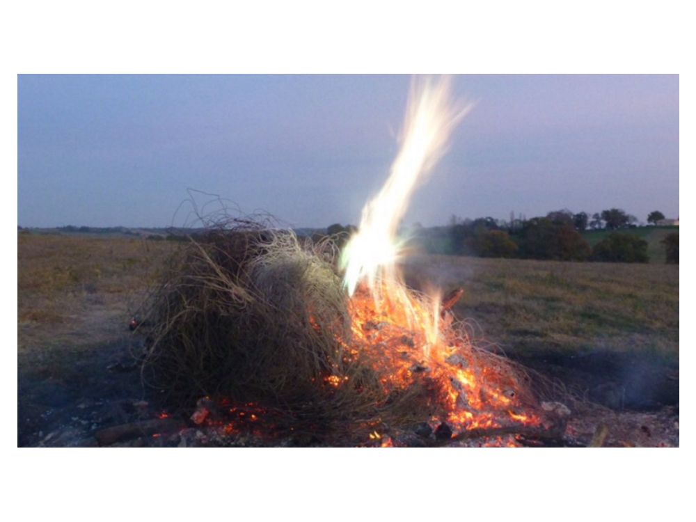 'We find you' Saskatoon police plane nabs man burning copper wire