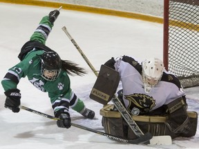 University of Saskatchewan Huskies forward Lauren Zary dives for a loose puck in front of University of Manitoba Bisons goalie Amanda Schubert in CIS Women's Hockey action, Feb. 20, 2016.