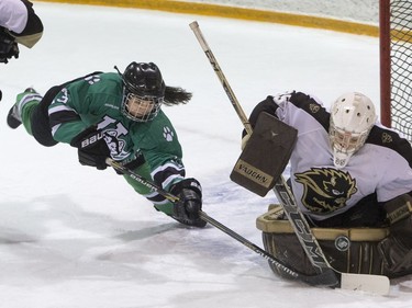 University of Saskatchewan Huskies forward Lauren Zary dives for a loose puck in front of University of Manitoba Bisons goalie Amanda Schubert in CIS Women's Hockey action, February 20, 2016.