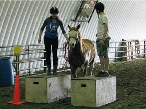 The One Arrow Equestrian Centre has closed.