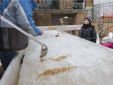 Four-year-old Ryder Weist waits for his maple syrup taffy at Frosted Gardens on the Bessborough Hotel grounds, February 6, 2016.